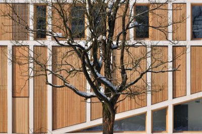 Image work detail