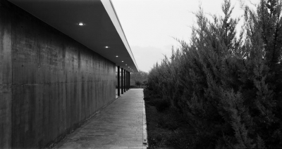 Image work detail