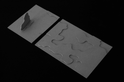 Image work detail