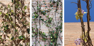 Image work detail